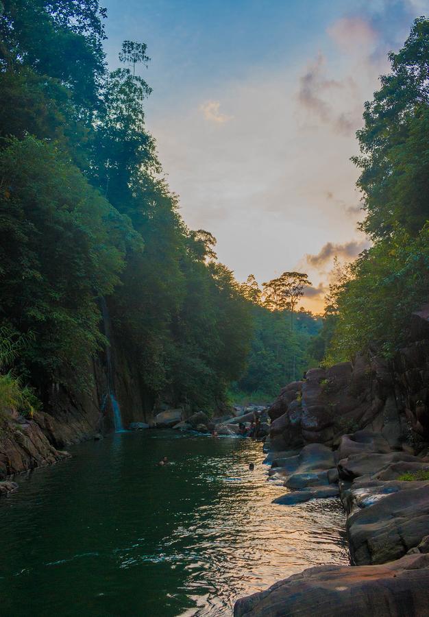 Jungle River Ginigathena Экстерьер фото